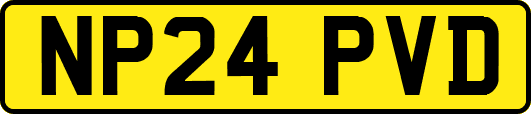 NP24PVD