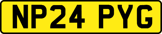 NP24PYG