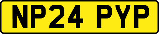 NP24PYP