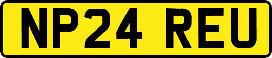 NP24REU