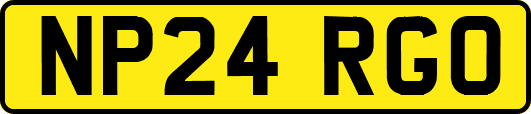 NP24RGO