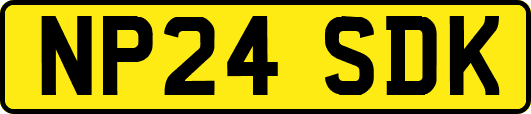 NP24SDK