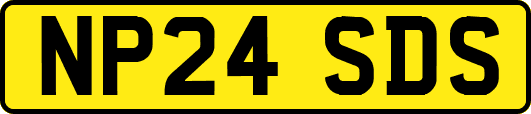 NP24SDS