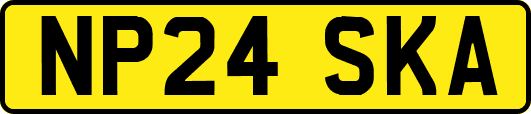 NP24SKA