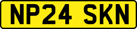 NP24SKN