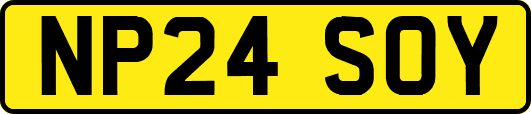 NP24SOY