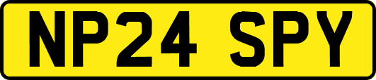 NP24SPY