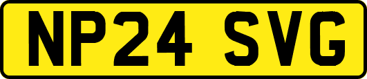 NP24SVG