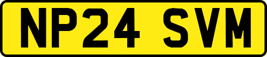 NP24SVM