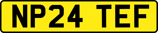NP24TEF