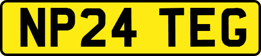 NP24TEG