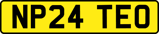 NP24TEO