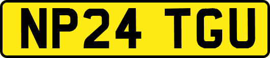 NP24TGU