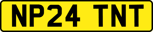 NP24TNT