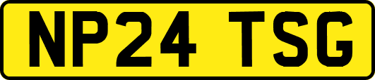 NP24TSG
