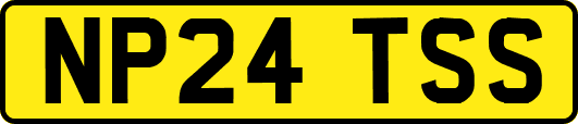 NP24TSS