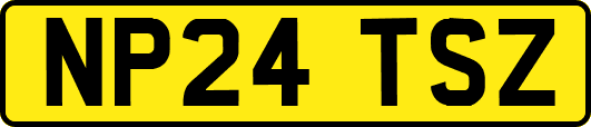 NP24TSZ