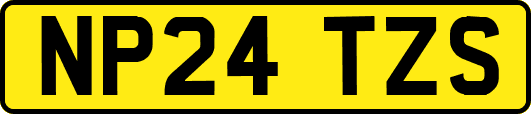 NP24TZS