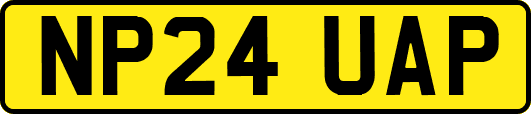 NP24UAP