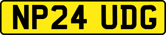 NP24UDG