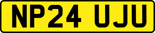 NP24UJU