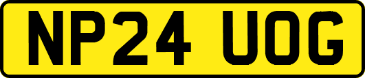 NP24UOG