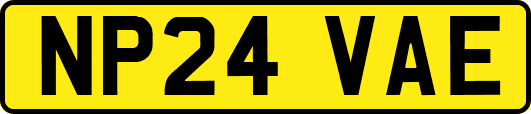 NP24VAE
