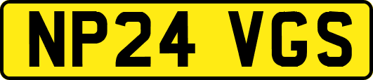 NP24VGS