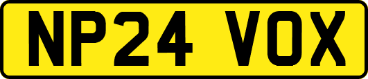 NP24VOX