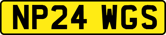 NP24WGS
