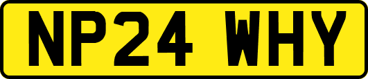 NP24WHY