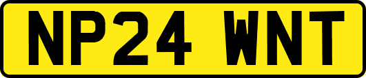 NP24WNT