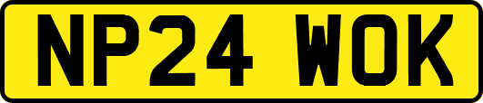 NP24WOK