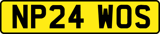NP24WOS