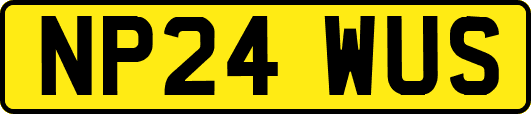 NP24WUS