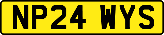 NP24WYS