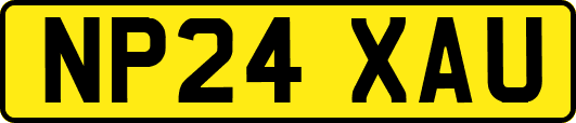 NP24XAU