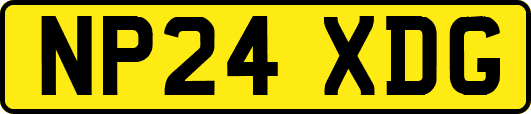 NP24XDG