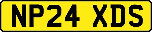 NP24XDS