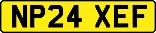 NP24XEF