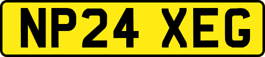 NP24XEG