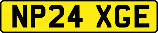 NP24XGE