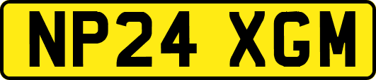 NP24XGM