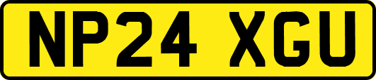 NP24XGU