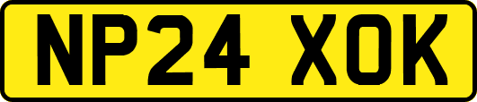 NP24XOK