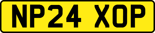 NP24XOP