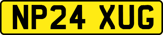 NP24XUG