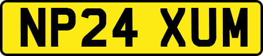 NP24XUM