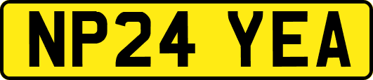 NP24YEA