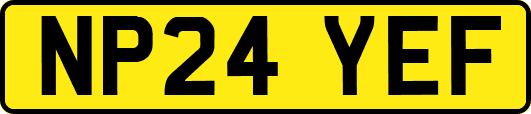 NP24YEF